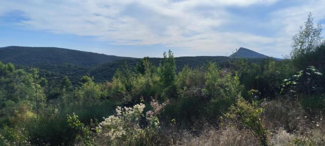 Acheter Terrain 32767 m2 Moureze