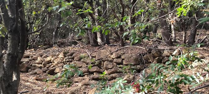 Acheter Terrain Moureze 36000 euros