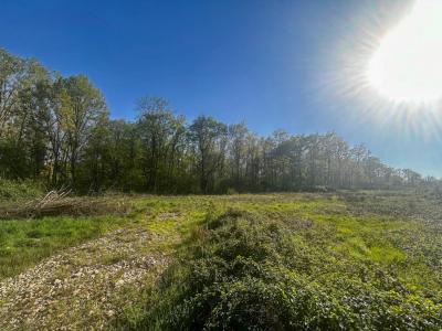 For sale Villefranche-sur-cher 6804 m2 Loir et cher (41200) photo 1