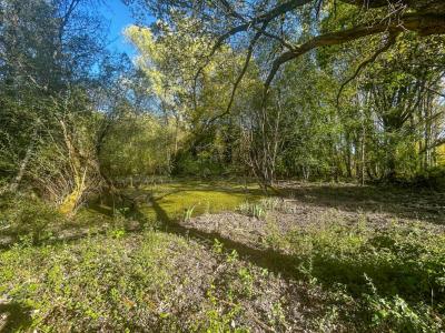 For sale Villefranche-sur-cher 6804 m2 Loir et cher (41200) photo 4