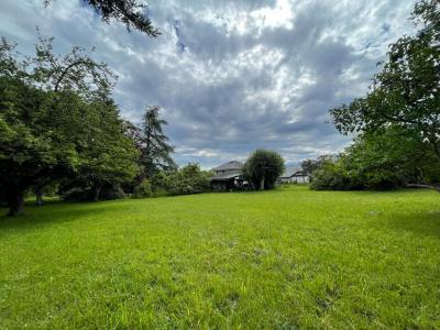 Annonce Vente Terrain Excenevex 74
