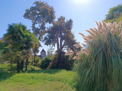 Acheter Prestige Salies-de-bearn 440000 euros