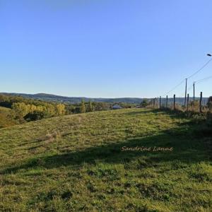 Annonce Vente Terrain Saint-pantaleon-de-larche 19