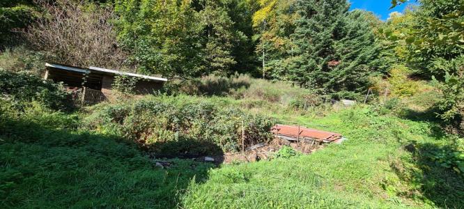 For sale Vescemont 5 rooms 102 m2 Belfort (90200) photo 3