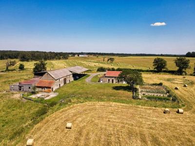 For sale Magny-cours 4 rooms 1000 m2 Nievre (58470) photo 0