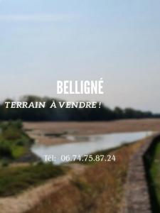 For sale Belligne 688 m2 Loire atlantique (44370) photo 0