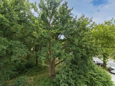 For sale Nantes 1 room 24 m2 Loire atlantique (44300) photo 3