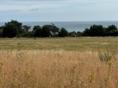 Acheter Terrain Binic 40000 euros