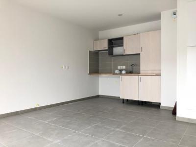 Annonce Location 2 pices Appartement Fonsorbes 31