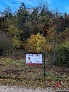 For sale Viry 645 m2 Jura (39360) photo 0
