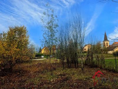 For sale Viry 645 m2 Jura (39360) photo 1
