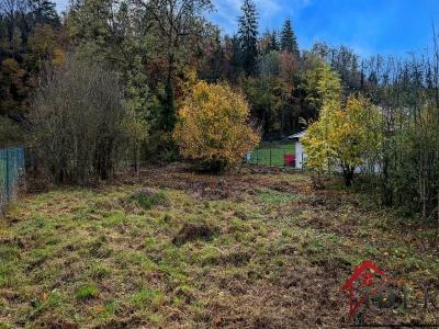 For sale Viry 645 m2 Jura (39360) photo 2