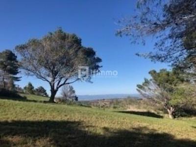 For sale Argens-minervois MOUX 26000 m2 Aude (11200) photo 0