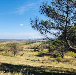 For sale Argens-minervois MOUX 26000 m2 Aude (11200) photo 1