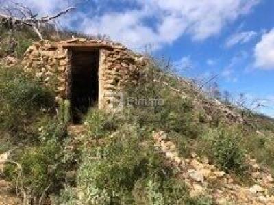 For sale Argens-minervois MOUX 26000 m2 Aude (11200) photo 2