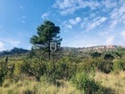 For sale Argens-minervois MOUX 26000 m2 Aude (11200) photo 3