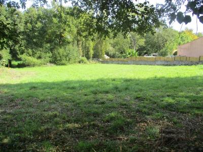 Annonce Vente Terrain  85
