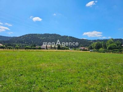 Annonce Vente Terrain Gerardmer 88