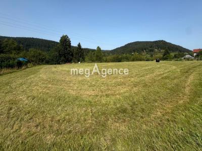 Acheter Terrain 1949 m2 Gerardmer