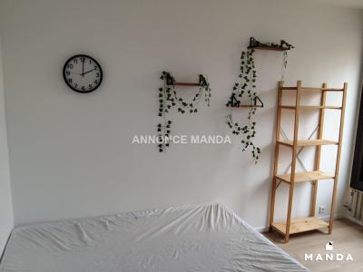 Annonce Location 6 pices Appartement Toulouse 31