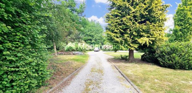 Acheter Prestige Englefontaine Nord