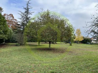 Acheter Terrain 1500 m2 Cestas