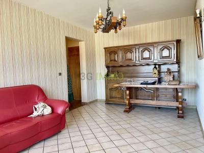 Annonce Vente 2 pices Appartement Roche-sur-foron 74