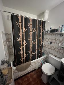 Acheter Appartement Mulhouse Haut rhin