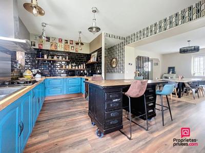 Acheter Maison 343 m2 Mele-sur-sarthe