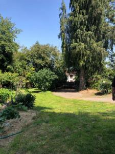 For sale Beton-bazoches 1 room 400 m2 Seine et marne (77320) photo 3