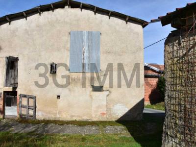 Acheter Maison 283 m2 Mouzieys-teulet