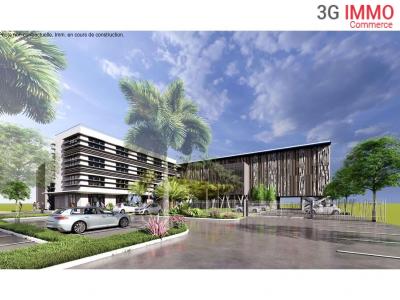 Annonce Vente Local commercial Abymes 971