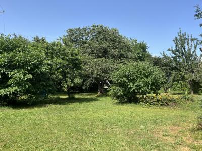 Annonce Vente 4 pices Maison Pointis-de-riviere 31