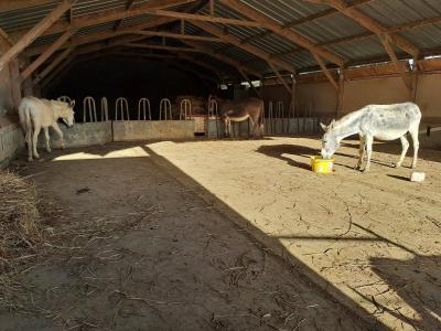 For sale Pin-murelet Haute garonne (31370) photo 2