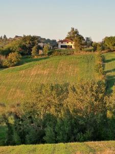 For sale Pin-murelet Haute garonne (31370) photo 3