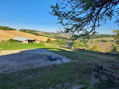 For sale Pin-murelet Haute garonne (31370) photo 4