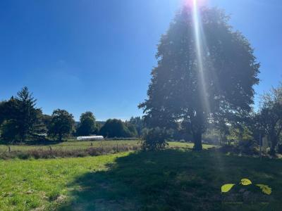 Acheter Maison 70 m2 Affieux