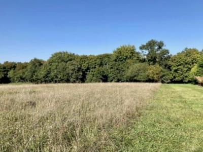 For sale Sadirac 750 m2 Gironde (33670) photo 0