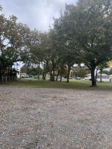 Annonce Vente Terrain Gujan-mestras 33