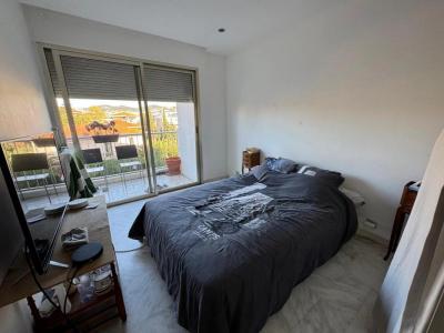 Acheter Appartement Cannes Alpes Maritimes