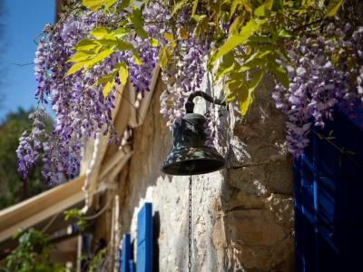 Acheter Maison Draguignan 1245000 euros