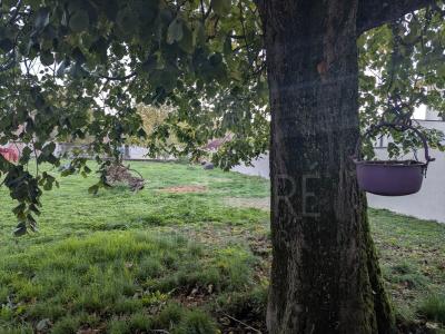 Acheter Maison Sillans Isere