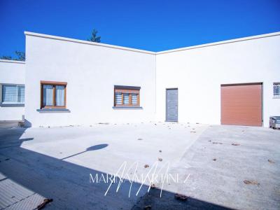 Annonce Vente 4 pices Maison Villesequelande 11