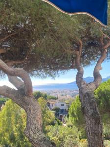 For sale Cannet 3 rooms 82 m2 Alpes Maritimes (06110) photo 2