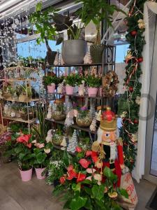 For sale Toulouse Haute garonne (31000) photo 3