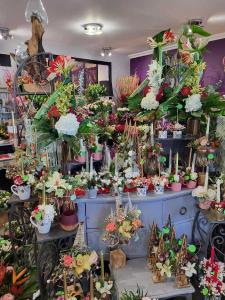 For sale Toulouse Haute garonne (31000) photo 4