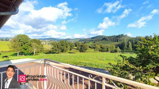 Acheter Maison 170 m2 Cuinzier