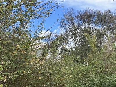 For sale Carla-bayle Ariege (09130) photo 4