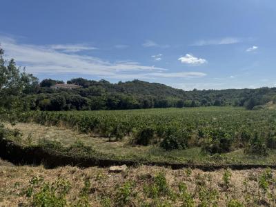 For sale Faugeres 514 m2 Herault (34600) photo 0