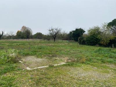 For sale Vinay 435 m2 Isere (38470) photo 1